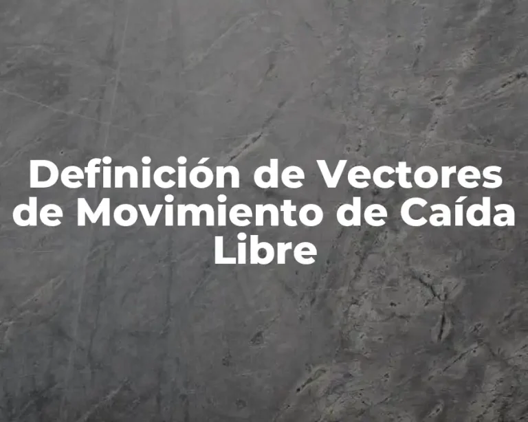 Definición de Vectores de Movimiento de Caída Libre
