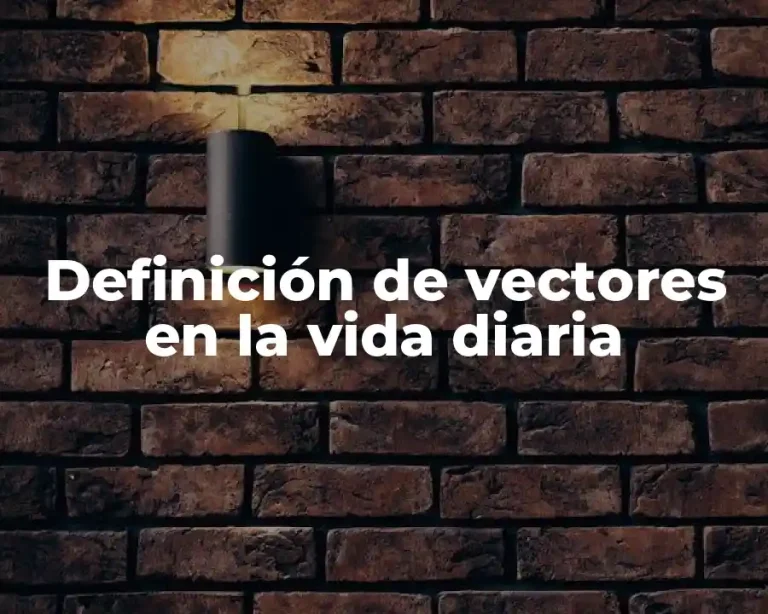 Definición de vectores en la vida diaria