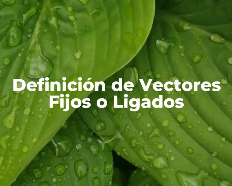 Definición de Vectores Fijos o Ligados