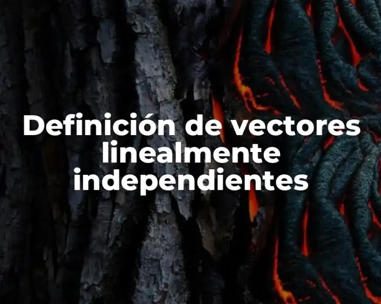 Definición de vectores linealmente independientes