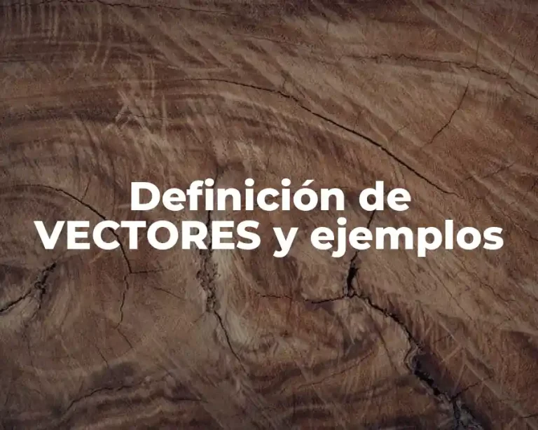 Definición de VECTORES y ejemplos