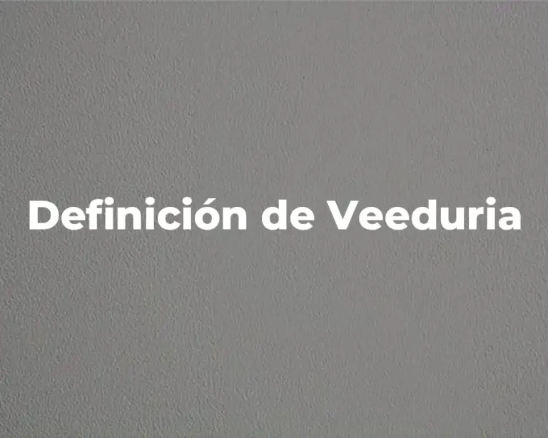 Definición de Veeduria