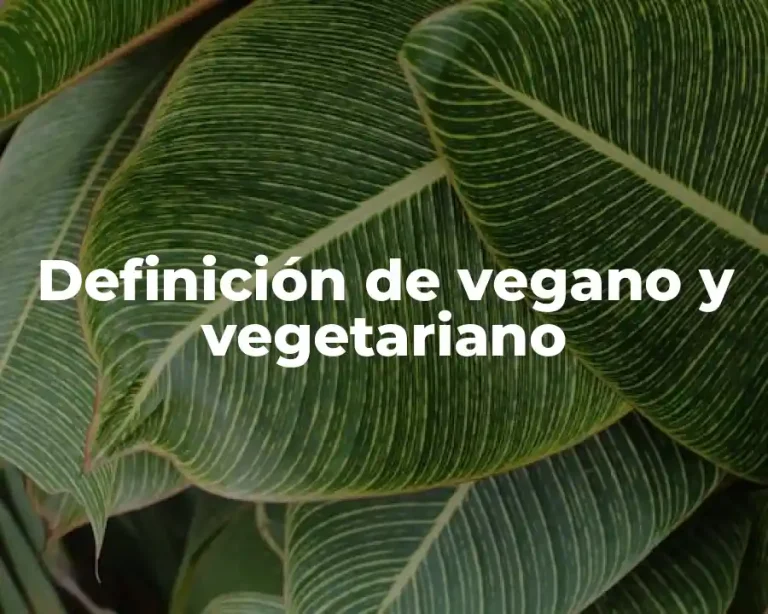 Definición de vegano y vegetariano
