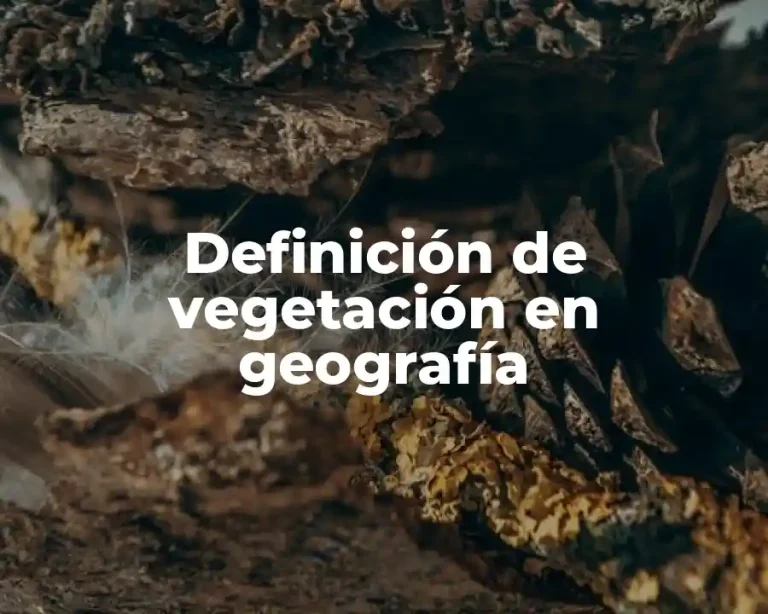 Definición de vegetación en geografía