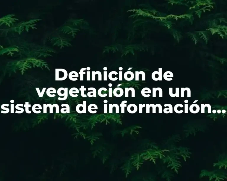 Definición de vegetación en un sistema de información geográfica