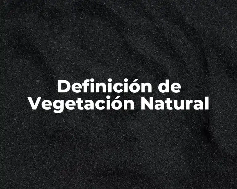 Definición de Vegetación Natural