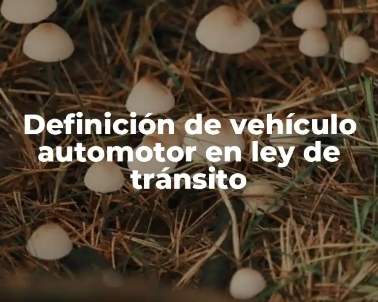 Definición de vehículo automotor en ley de tránsito