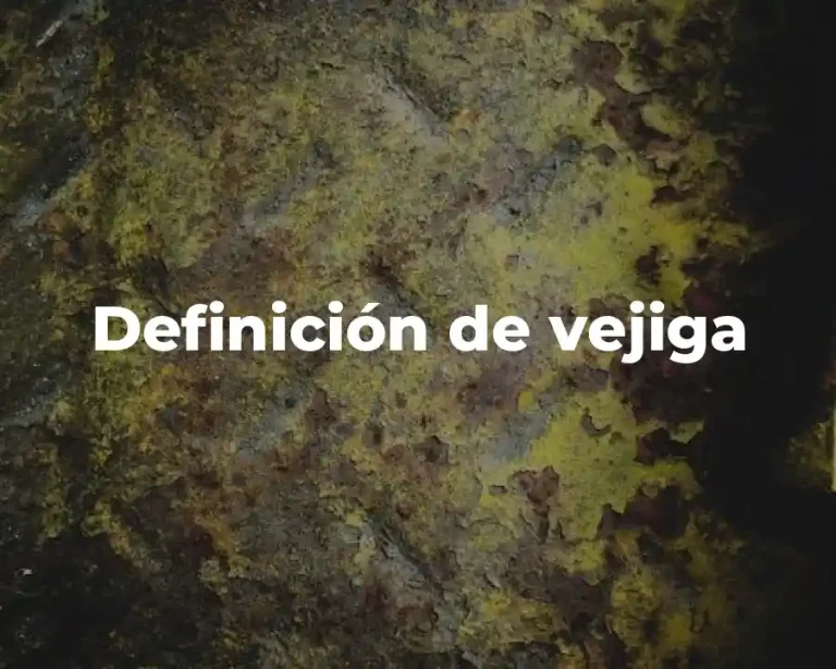 Definición de vejiga
