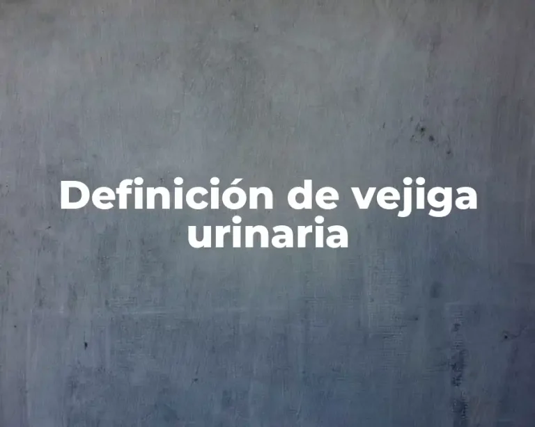 Definición de vejiga urinaria