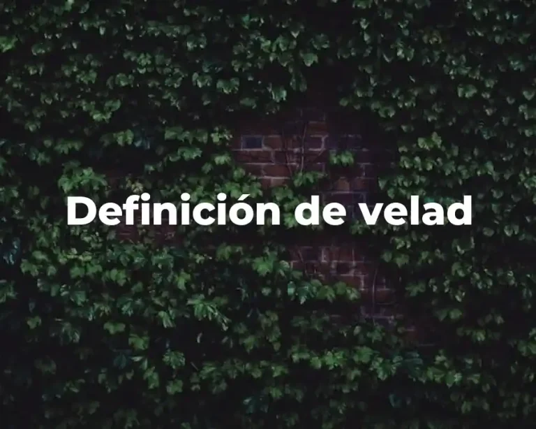 Definición de velad