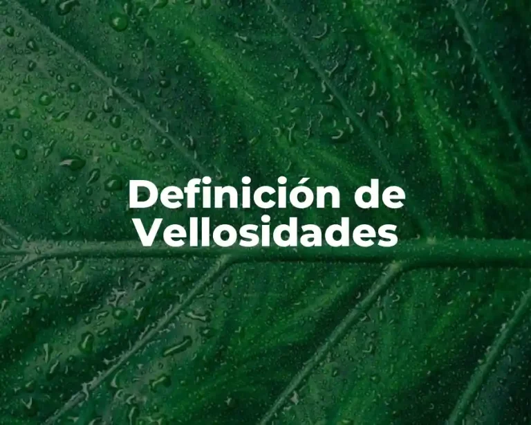 Definición de Vellosidades