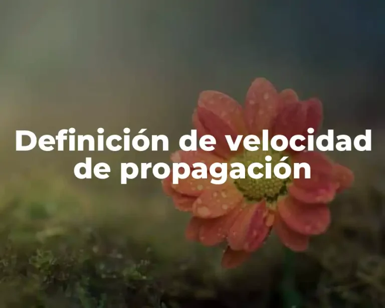 Definición de velocidad de propagación
