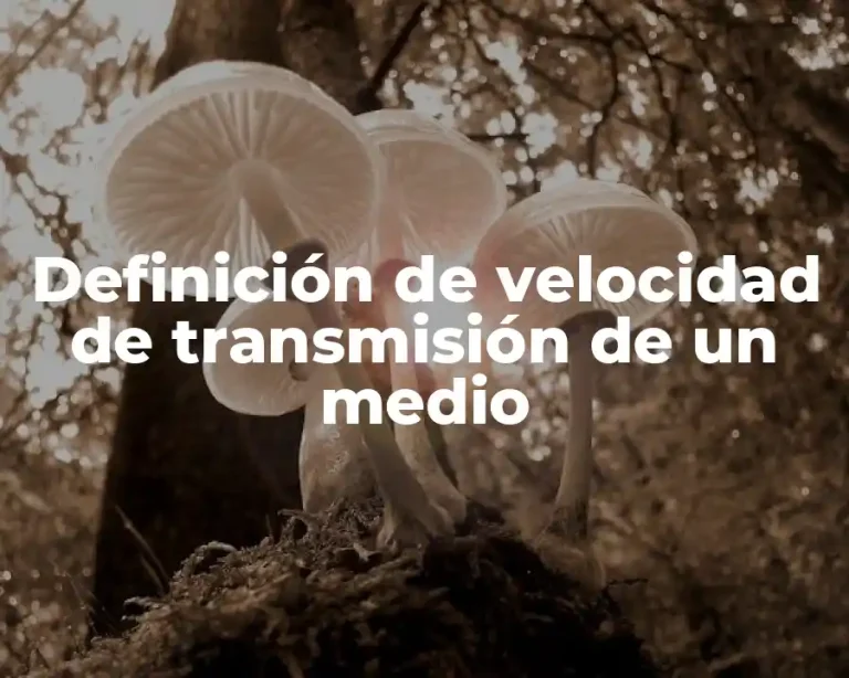 Definición de velocidad de transmisión de un medio