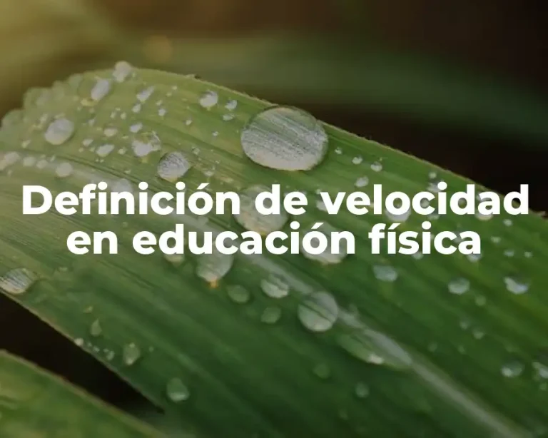 Definición de velocidad en educación física