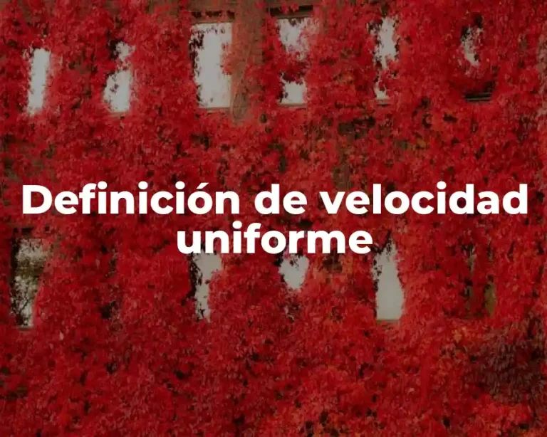 Definición de velocidad uniforme