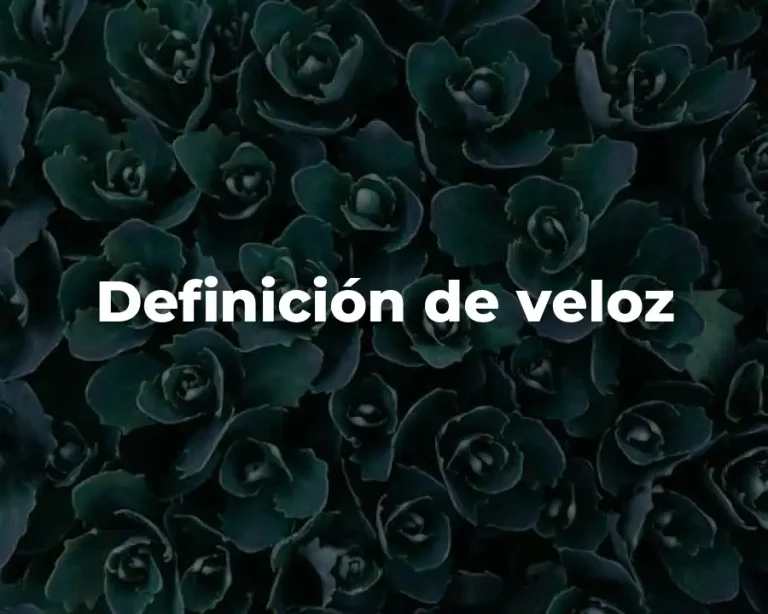 Definición de veloz