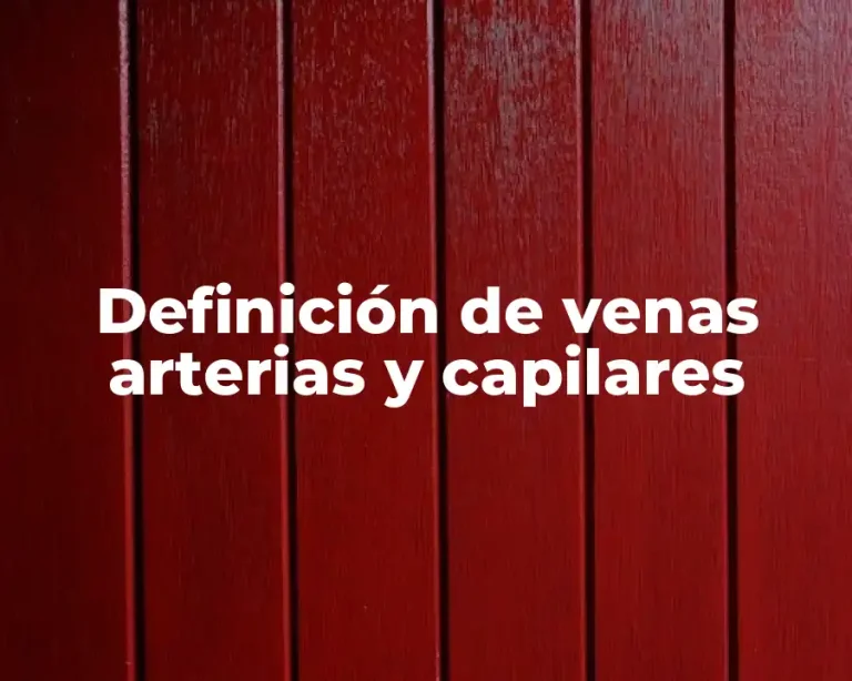 Definición de venas arterias y capilares