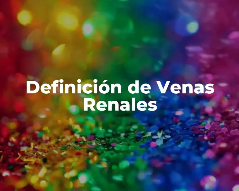 Definición de Venas Renales