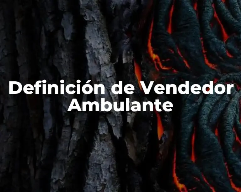 Definición de Vendedor Ambulante