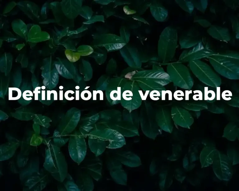Definición de venerable