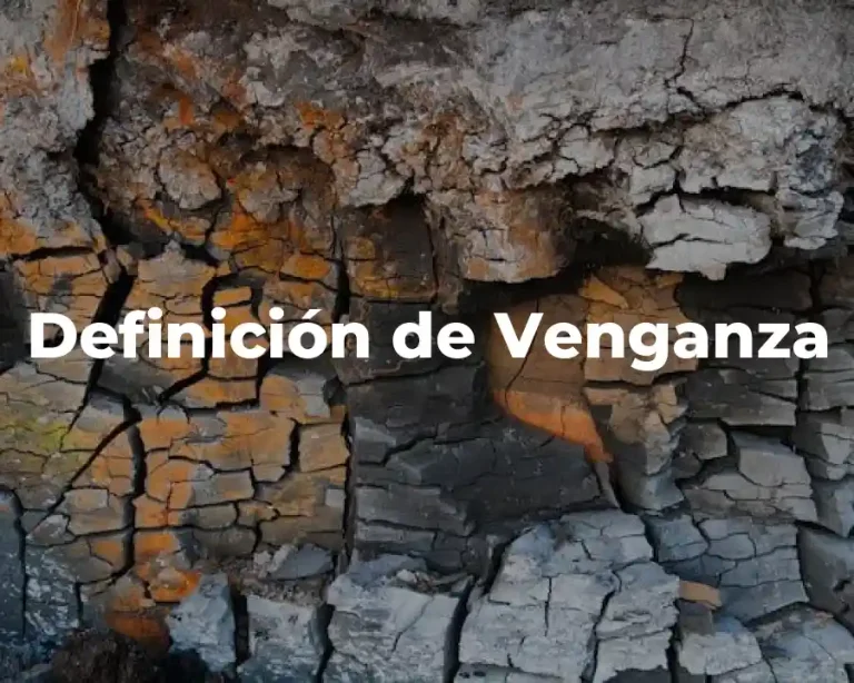 Definición de Venganza