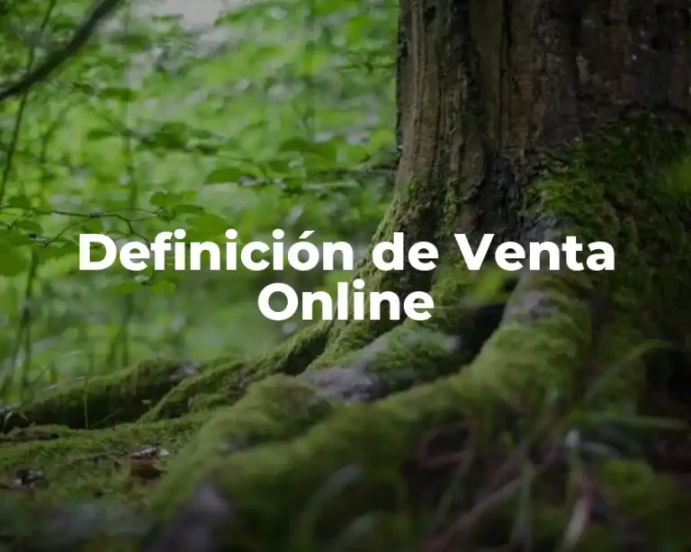 Definición de Venta Online