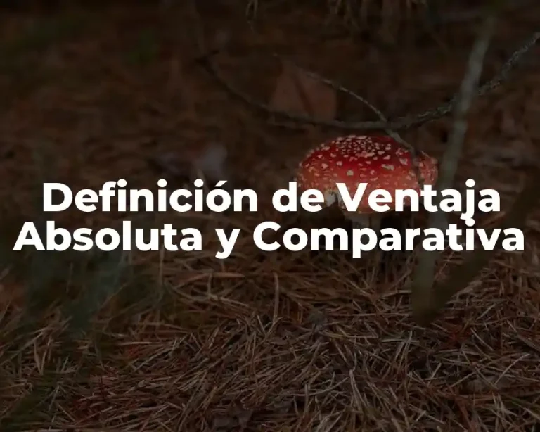 Definición de Ventaja Absoluta y Comparativa