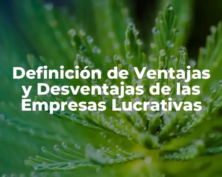Definición de Ventajas y Desventajas de las Empresas Lucrativas