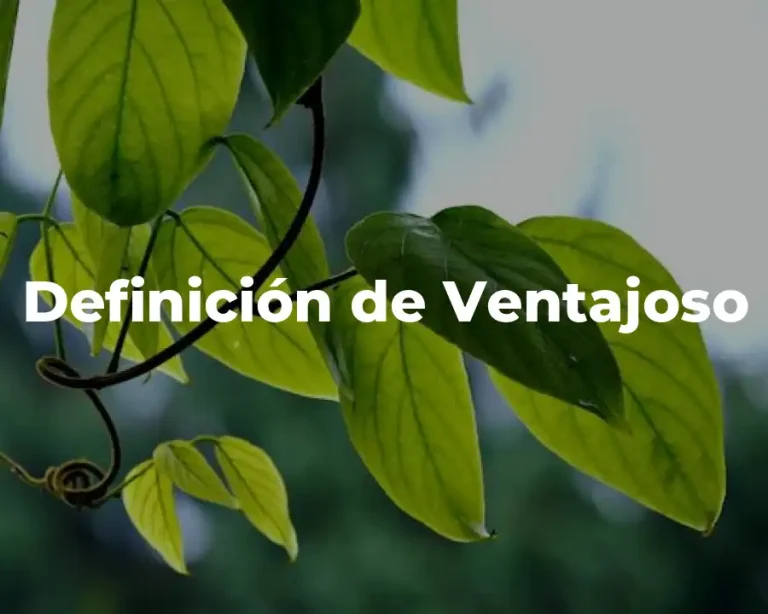 Definición de Ventajoso