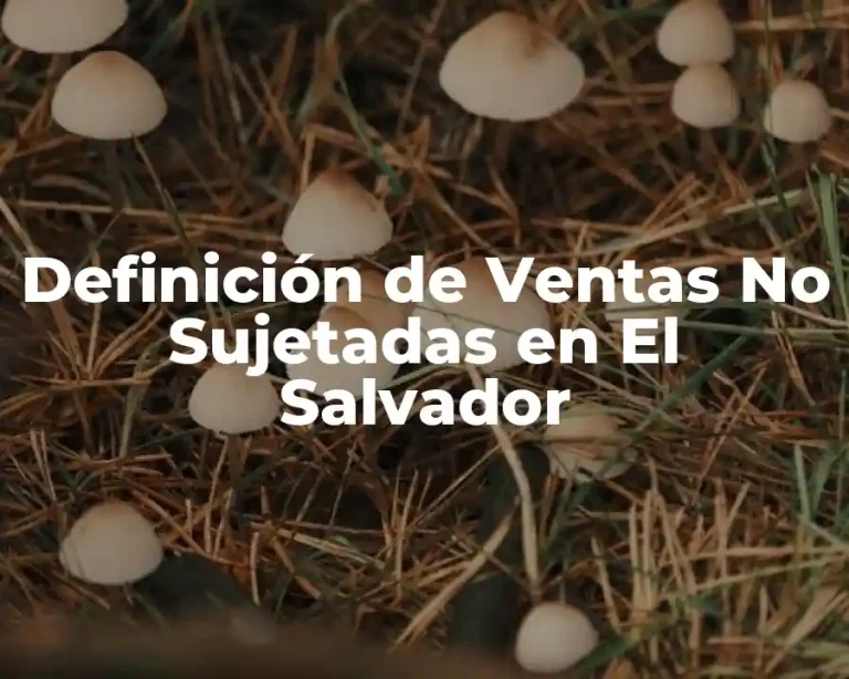 Definición de Ventas No Sujetadas en El Salvador