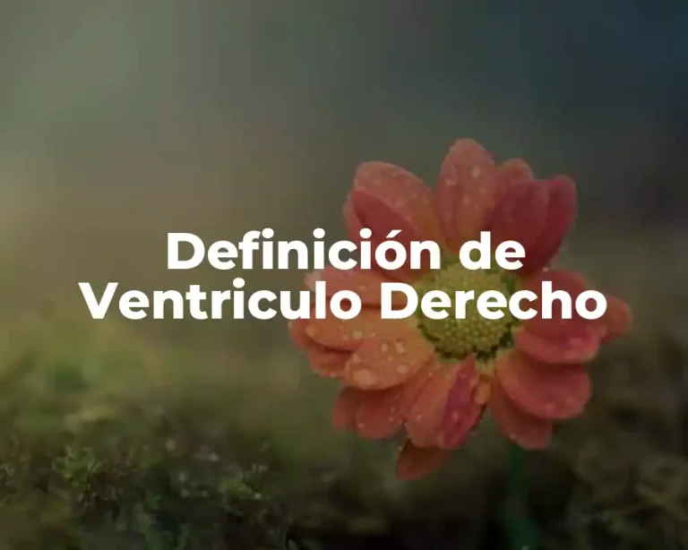 Definición de Ventriculo Derecho
