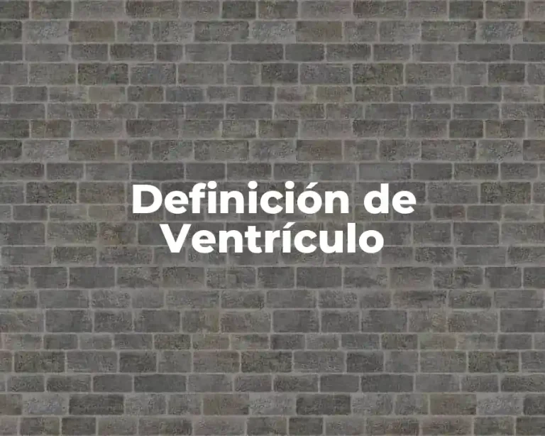 Definición de Ventrículo