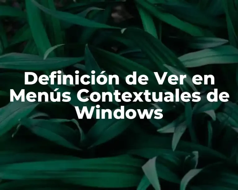 Definición de Ver en Menús Contextuales de Windows
