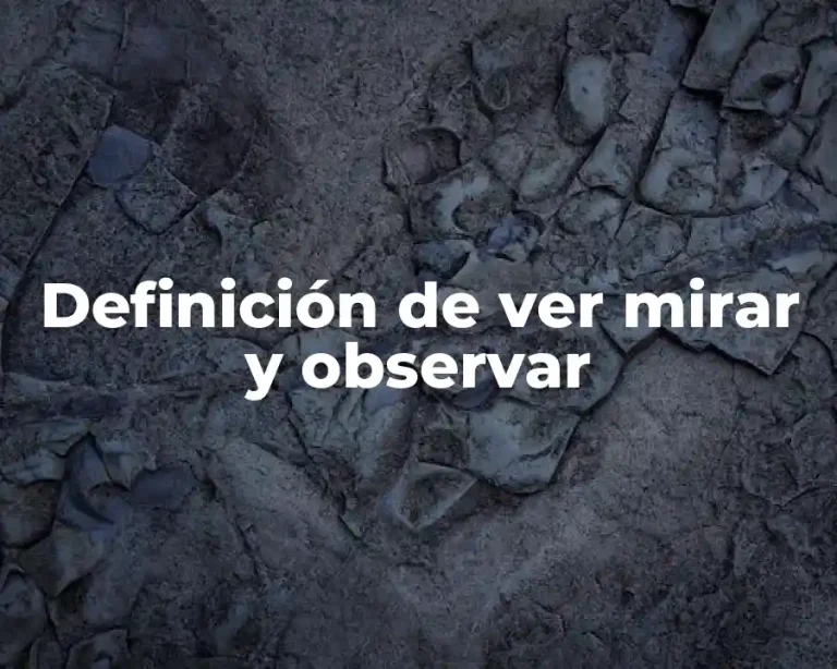 Definición de ver mirar y observar