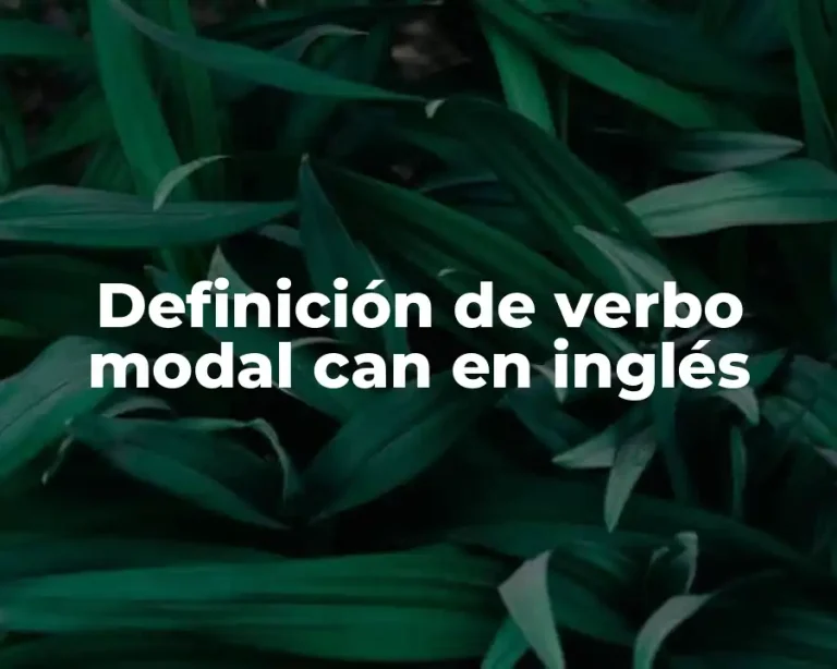 Definición de verbo modal can en inglés