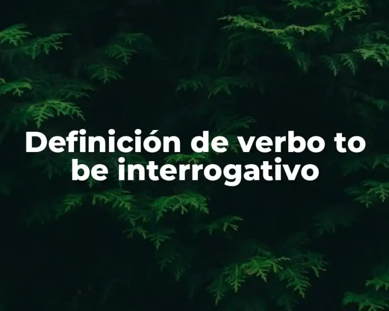 Definición de verbo to be interrogativo