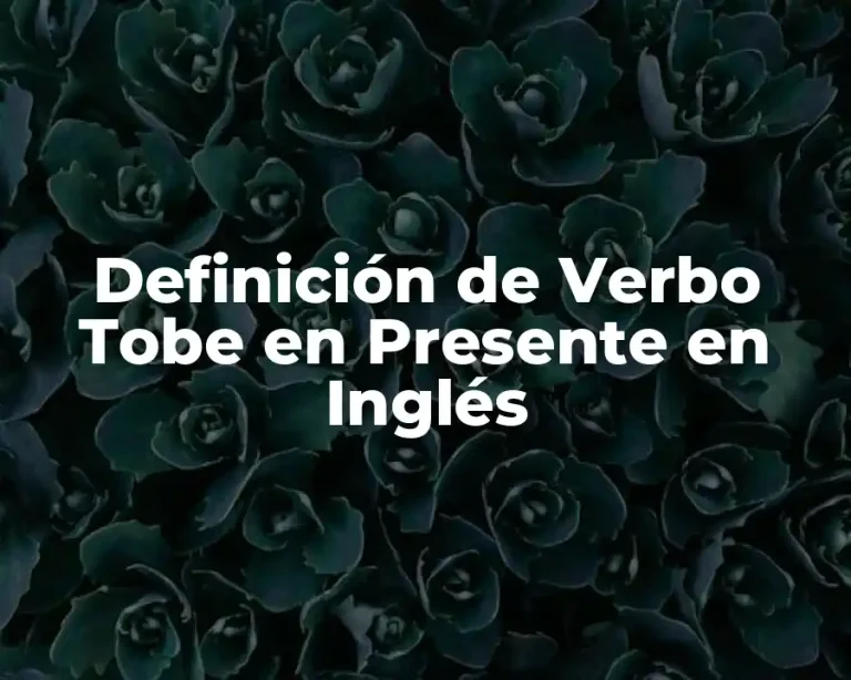 Definición de Verbo Tobe en Presente en Inglés