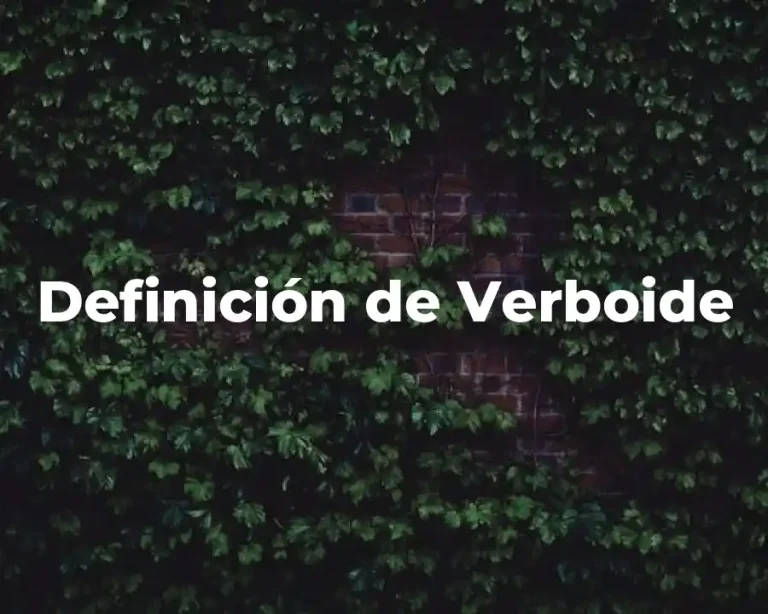 Definición de Verboide