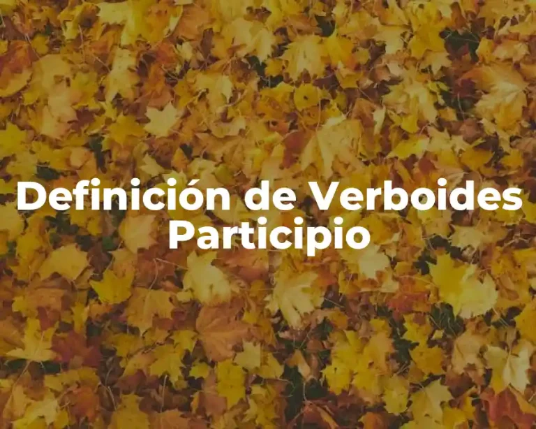 Definición de Verboides Participio