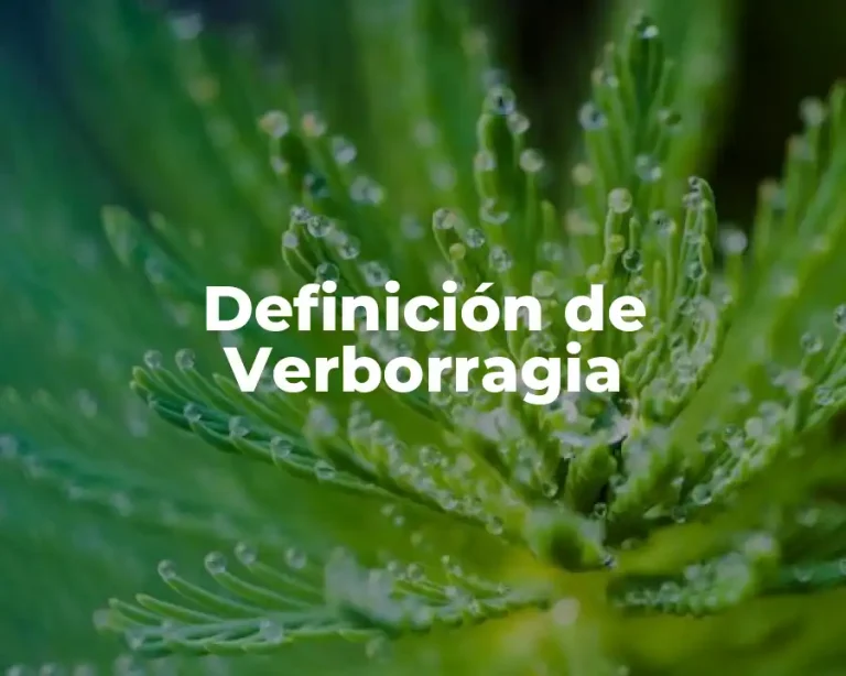Definición de Verborragia