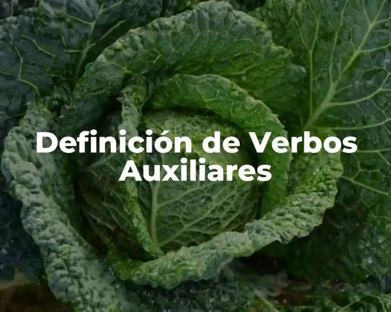 Definición de Verbos Auxiliares