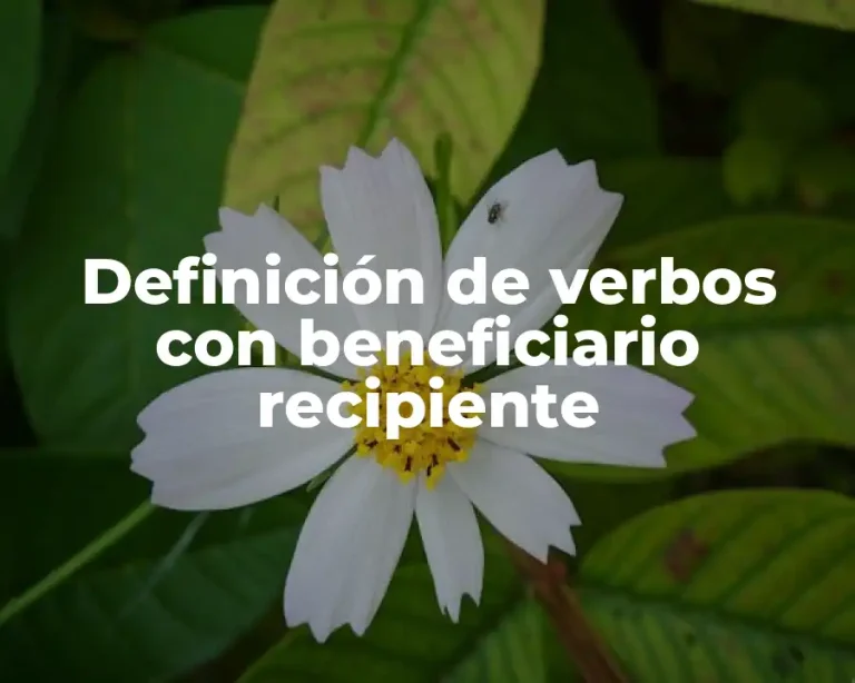 Definición de verbos con beneficiario recipiente