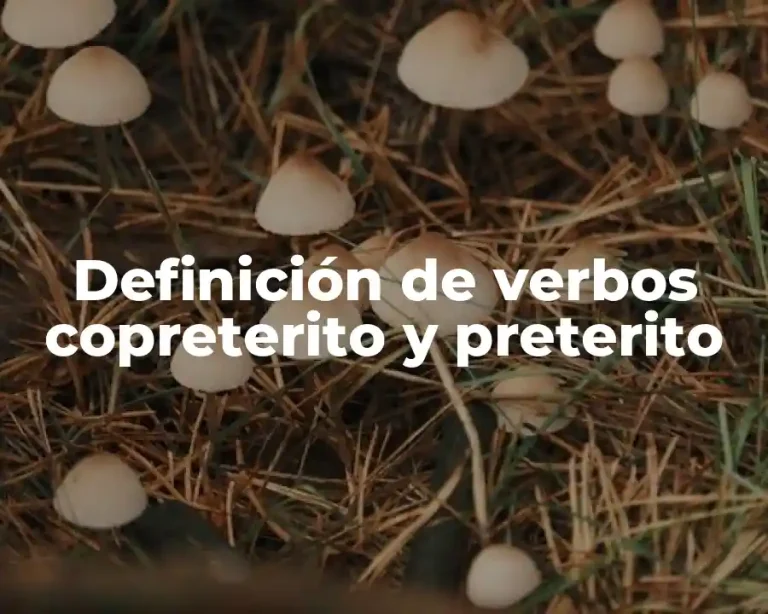 Definición de verbos copreterito y preterito