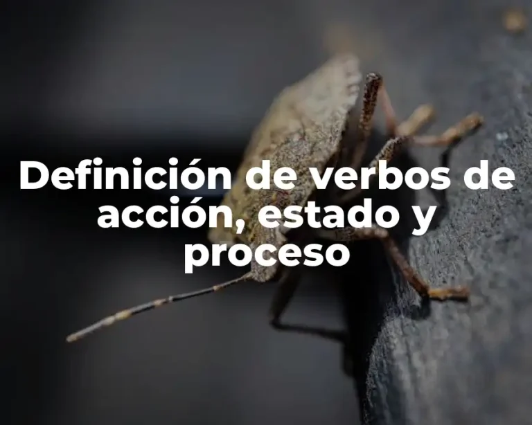 Definición de verbos de acción, estado y proceso