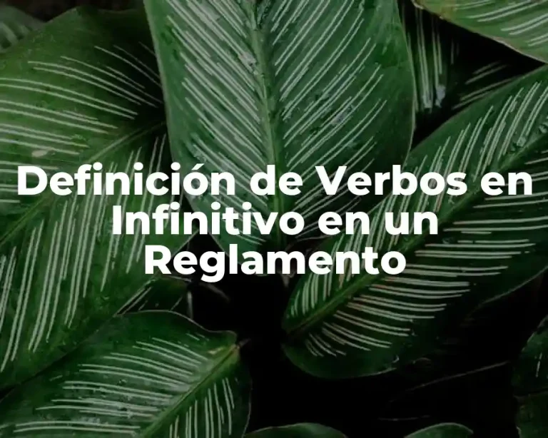 Definición de Verbos en Infinitivo en un Reglamento