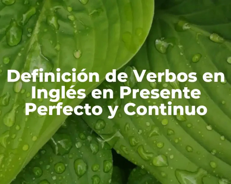 Definición de Verbos en Inglés en Presente Perfecto y Continuo
