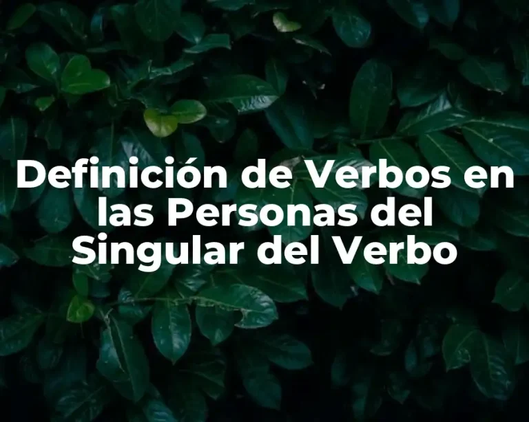 Definición de Verbos en las Personas del Singular del Verbo