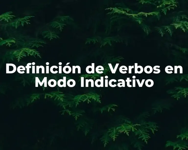 Definición de Verbos en Modo Indicativo