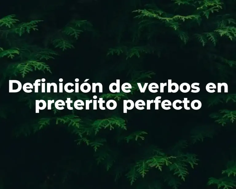 Definición de verbos en preterito perfecto