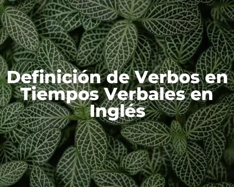 Definición de Verbos en Tiempos Verbales en Inglés